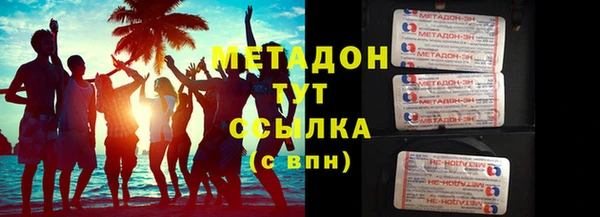 индика Горняк