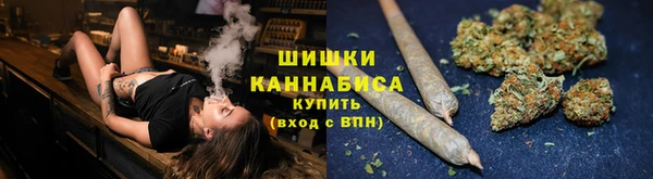 Альфа ПВП Горно-Алтайск