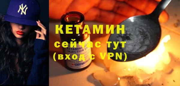 индика Горняк
