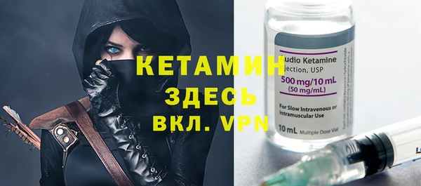 индика Горняк