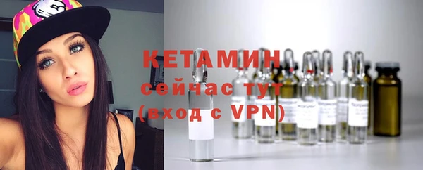 индика Горняк