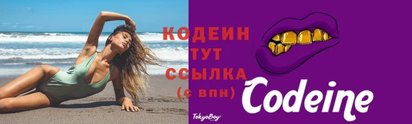 индика Горняк