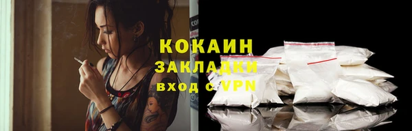 индика Горняк