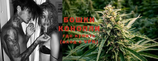индика Горняк