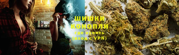 Альфа ПВП Горно-Алтайск
