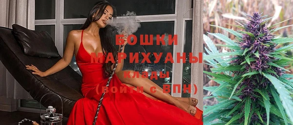 индика Горняк