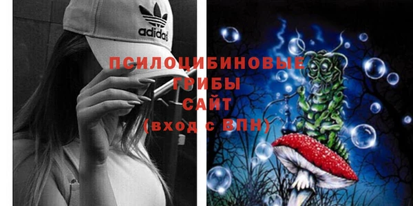 ешки Горнозаводск